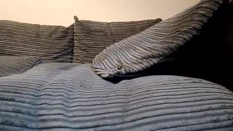 tyson2512 online show from February 19, 2026, 3:19 pm