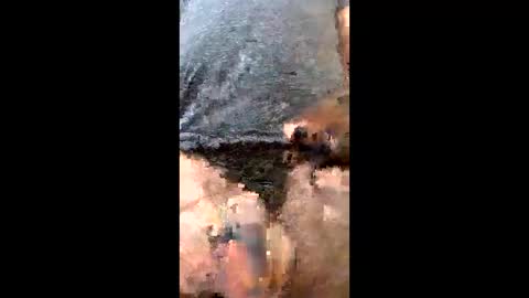 Uramajesty online show from March 19, 2026, 12:20 pm