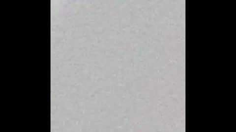 pretitit micole online show from October 21, 2025, 10:27 am