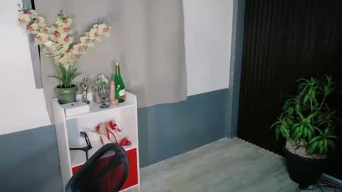 urfave_bbgirl online show from December 23, 2025, 9:29 am