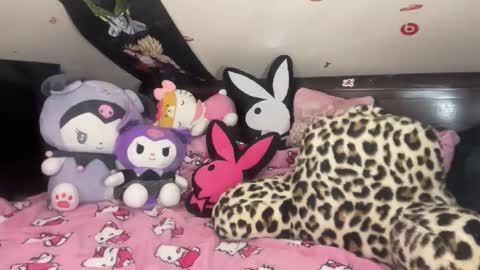 urlittlekittylana online show from January 14, 2026, 3:23 am