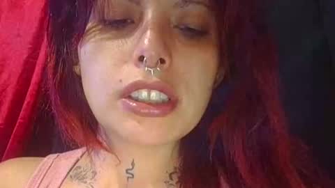 Aniie online show from April 20, 2026, 4:04 am