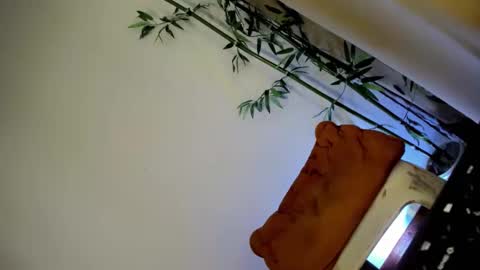 Snapshot of ursashafucker69 chatting on December 3, 2024, 10:17 am ursashafucker69 online show from December 3, 2024, 10:17 am