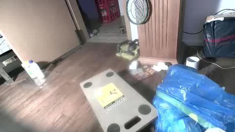 BamBam online show from April 25, 2026, 2:36 am