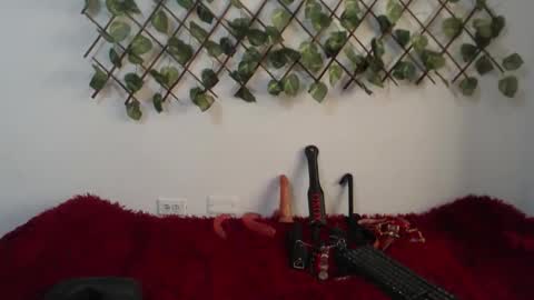 vaiolet online show from November 10, 2025, 1:54 pm