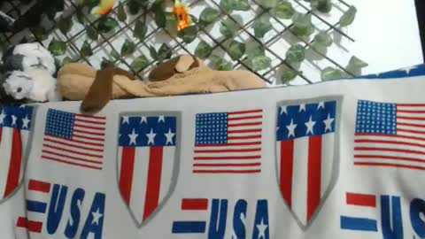 vaiolet online show from November 23, 2025, 5:40 am