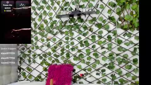 Valentina online show from November 10, 2025, 8:41 pm