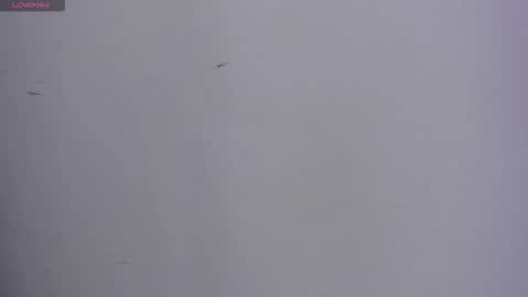 VALKA ROSS online show from October 13, 2025, 11:16 pm