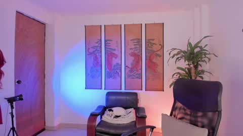      online show from January 21, 2025, 8:32 pm