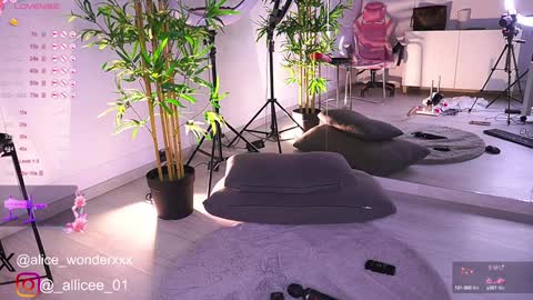 Vanessa Simon online show from February 8, 2025, 12:17 pm