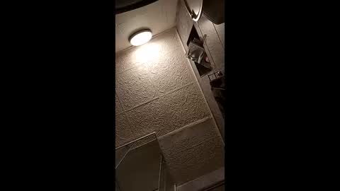 vasi06 online show from April 12, 2026, 7:52 pm