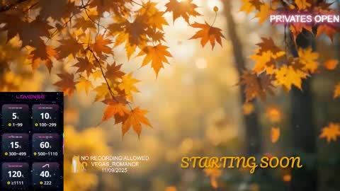 vegas_romance online show from November 9, 2025, 11:25 pm