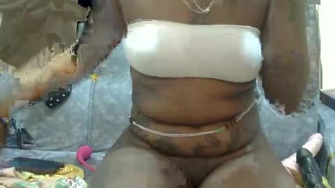 velvet online show from February 20, 2025, 11:09 am