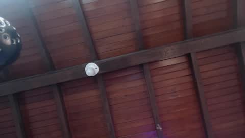 Venus Evans online show from February 12, 2025, 2:56 am