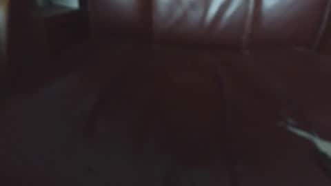 Erik online show from April 20, 2026, 6:16 am