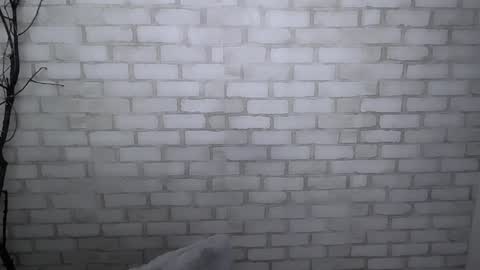 Ana online show from December 30, 2024, 1:36 pm