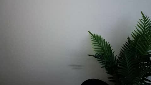 Ana online show from September 30, 2025, 12:10 pm