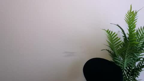 Ana online show from March 12, 2026, 1:06 pm