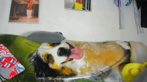 vicky manuela online show from February 18, 2025, 11:30 pm