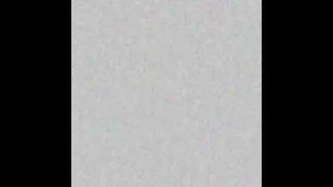 Victoria Collins online show from March 12, 2025, 6:55 pm