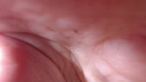 VictoryVega online show from September 11, 2025, 7:52 am