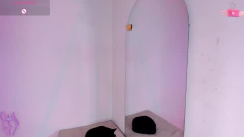 Snapshot of viioleett_cum chatting on July 11, 2026, 5:04 pm viioleett_cum online show from July 11, 2026, 5:04 pm