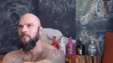 viking online show from November 4, 2025, 8:02 am