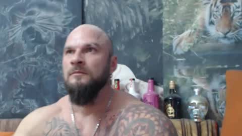 viking online show from November 4, 2025, 8:08 pm