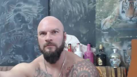 viking online show from November 28, 2025, 8:06 am