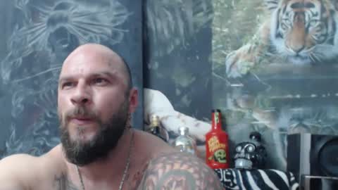 viking online show from April 16, 2026, 6:41 pm