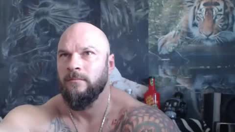 viking online show from April 20, 2026, 6:16 am