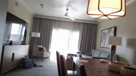 Violet Hooper online show from January 12, 2026, 4:34 pm