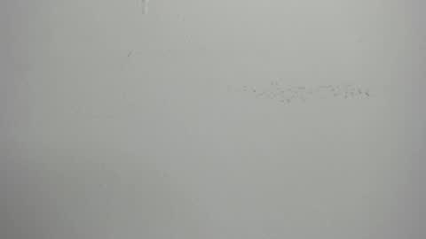 violett_24_ online show from March 1, 2025, 11:39 am