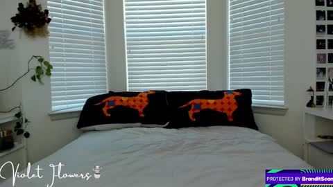 Violet Flowers online show from January 5, 2025, 6:13 pm