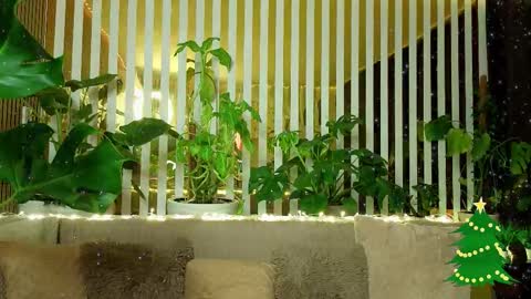 Snapshot of violetttttacb chatting on January 7, 2026, 11:18 pm Violetta online show from January 7, 2026, 11:18 pm