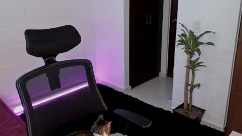 Lu online show from March 5, 2025, 12:27 am