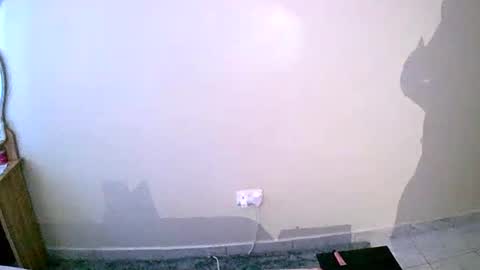 Your Virtual Wife online show from January 19, 2025, 1:22 pm