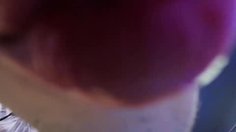    new acount online show from May 29, 2026, 3:43 pm