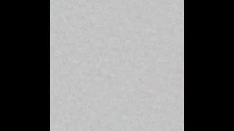 Vivian online show from October 3, 2025, 11:18 am