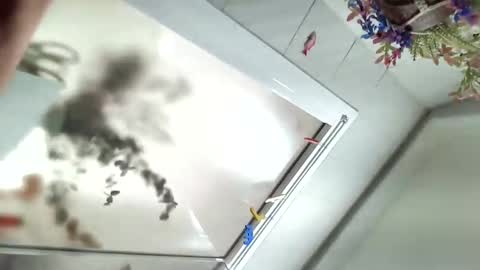 Viv online show from December 6, 2024, 11:54 am