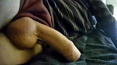 vleeslollie2024 online show from January 10, 2025, 7:14 am