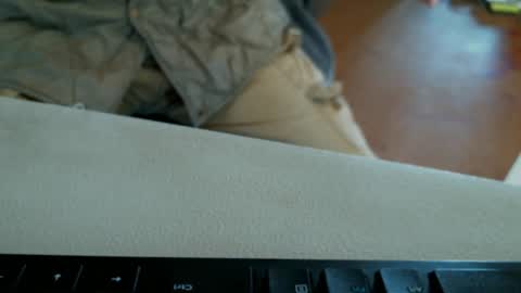 vnpg92 online show from December 1, 2024, 7:47 pm