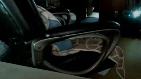 vnpg92 online show from December 27, 2024, 9:32 pm