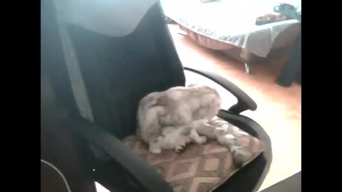 vodila3001 online show from March 19, 2026, 5:33 am