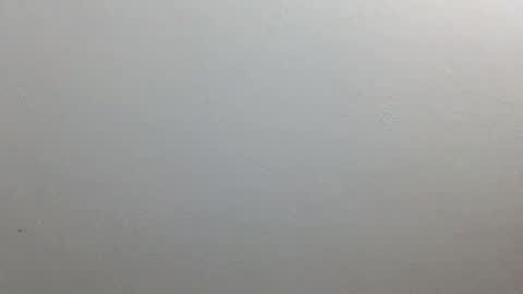 volentic online show from October 9, 2025, 12:14 pm