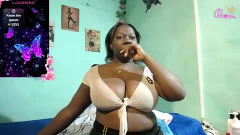 Snapshot of vskayper chatting on August 9, 2026, 11:48 am skay online show from August 9, 2026, 11:48 am