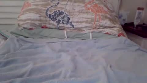 vwjim26 online show from September 26, 2025, 4:00 pm