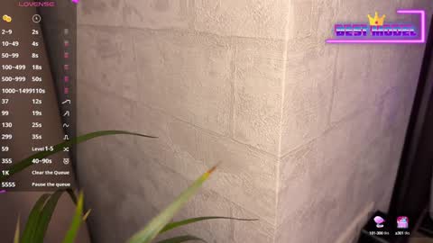 Walt Enjoy online show from February 1, 2025, 8:26 pm