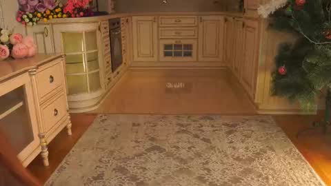 hello guys im Lilian online show from January 12, 2026, 3:12 am