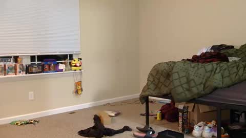 COSMOxWANDA online show from March 3, 2026, 1:23 am